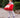 Tragetasche Redbag